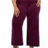 KUT from the Kloth Plus Size Meg High Rise Fab Ab Wide Leg Raw Hem-Long Inseam | Jeans